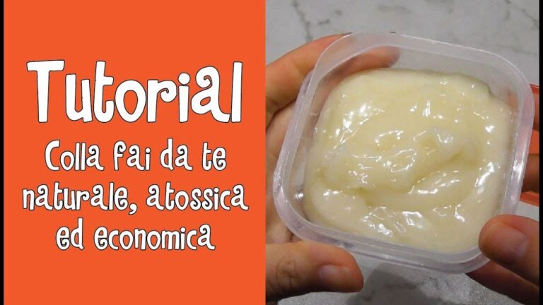 Guida pratica per creare una collezione entomologica fai da te