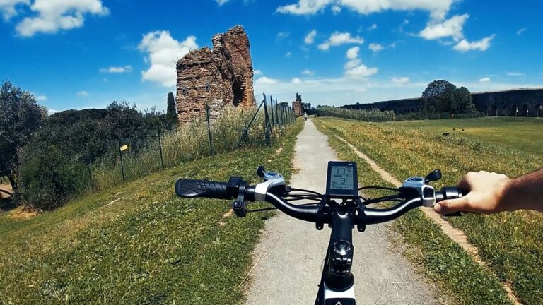 E-Bike Usate a Roma: Guida all’Acquisto e Vantaggi