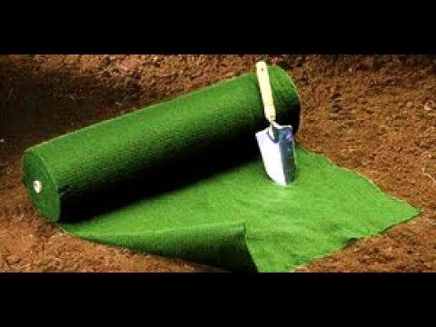 Guida all’Utilizzo del Rotolo Prato Preseminato