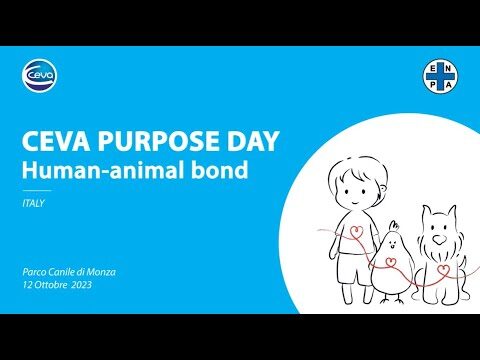 Pensione per Conigli a Roma: Il Luogo Perfetto per il Tuo Amico a Quattro Zampe