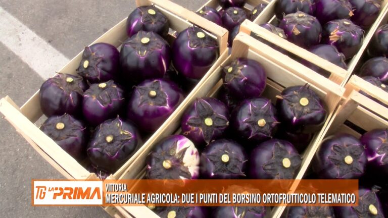 Mercuriale Agricola: Vittoria Oggi
