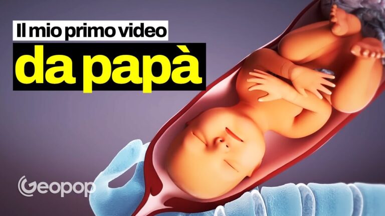 Sesso del bambino: cadere di sedere in gravidanza – maschio o femmina?