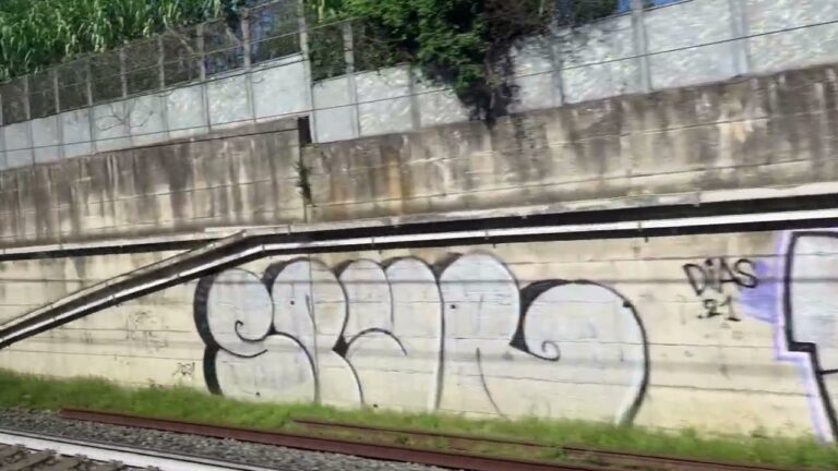 Guida all’Italo 8951: tutto quello che devi sapere
