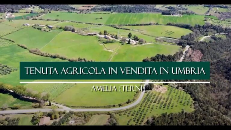 Opportunit&agrave;: Aziende Agricole in Vendita nel Lazio