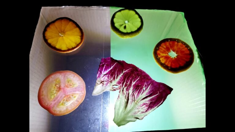 Esplorare i Laboratori Sensoriali nell’Asilo Nido