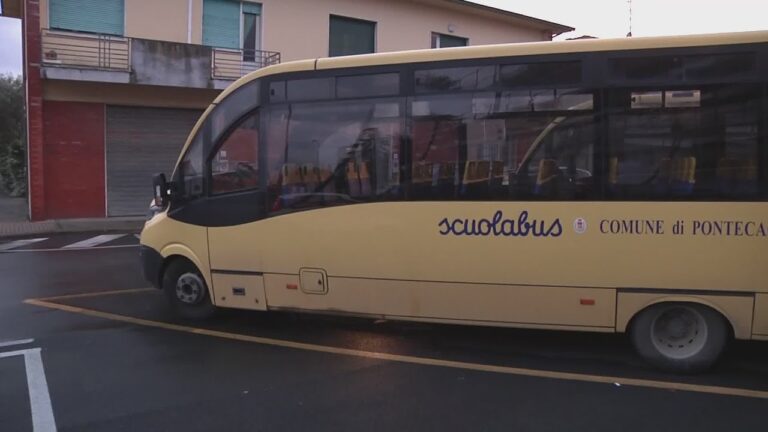 Normativa sul trasporto scolastico: linee guida e regolamenti
