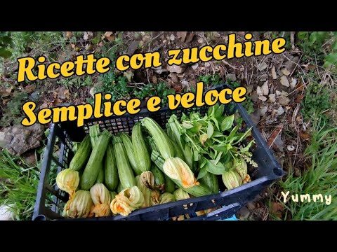 Pasta con Zucchine: Un Piatto Amato dai Bambini
