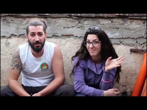 Ottimizzazione del calcolo delle piante per ettaro