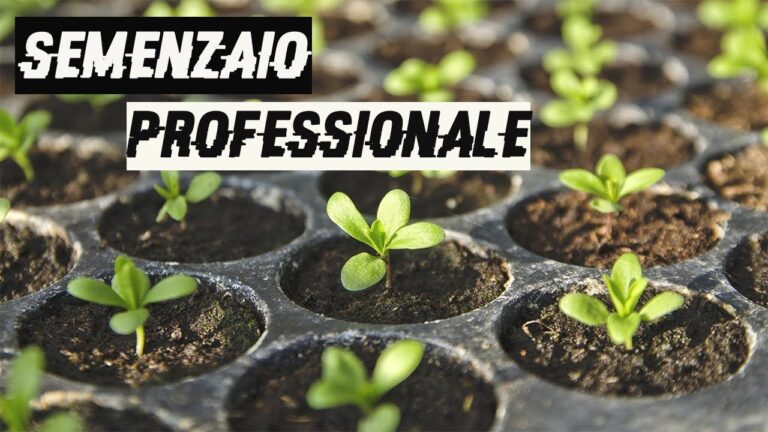 Guida all’utilizzo del semenzaio professionale