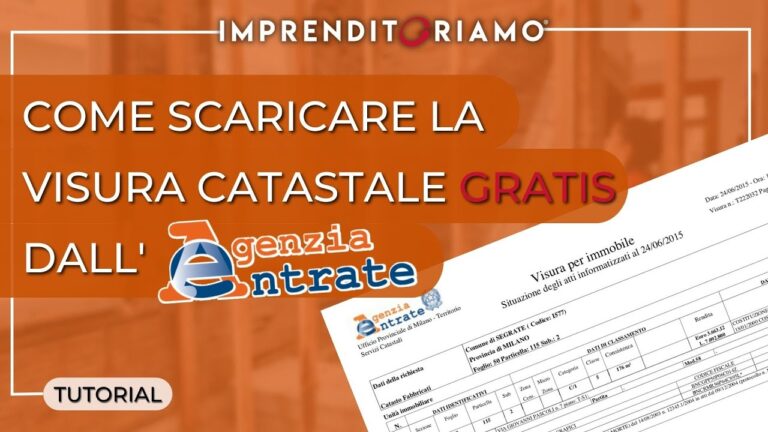 Guida alla Visura con Codice Fiscale
