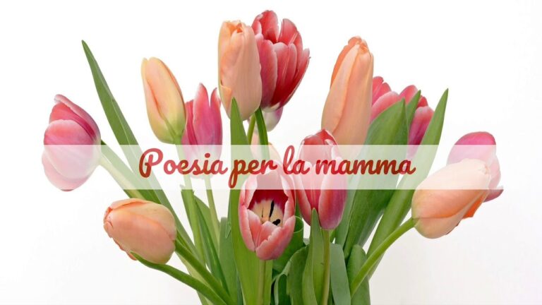 10 Poesie sulla Maestra che Ti Ispireranno