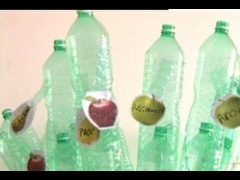 Progetto Riciclando con Fantasia: Creativit&agrave; Sostenibile nel Riutilizzo
