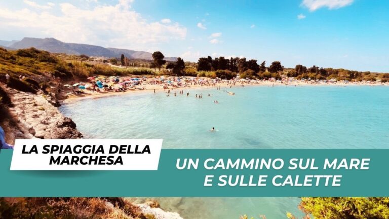 Scopri la Magia della Pineta del Gelsomino