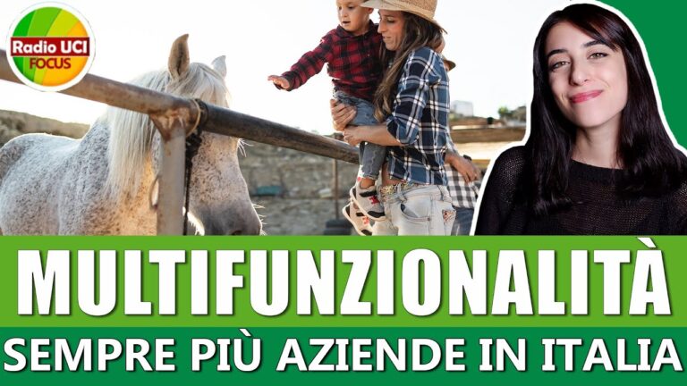 Innovazione nelle Aziende Agricole Multifunzionali