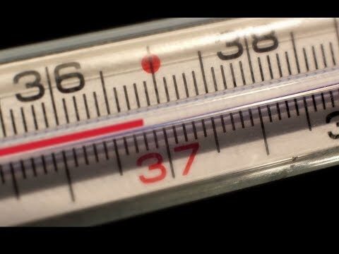 Le Temperature Pi&ugrave; Calde della Fronte nei Bambini
