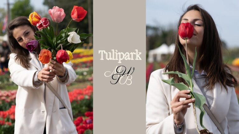 Recensioni su Tulipark a Roma: Esperienze e Opinioni