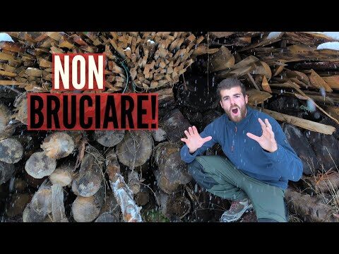 Quando Bruciare le Sterpaglie in Campagna: Normative e Consigli