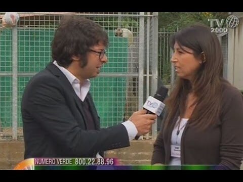 Adozioni al Canile di Roma: Una Nuova Vita per i Nostri Amici a Quattro Zampe