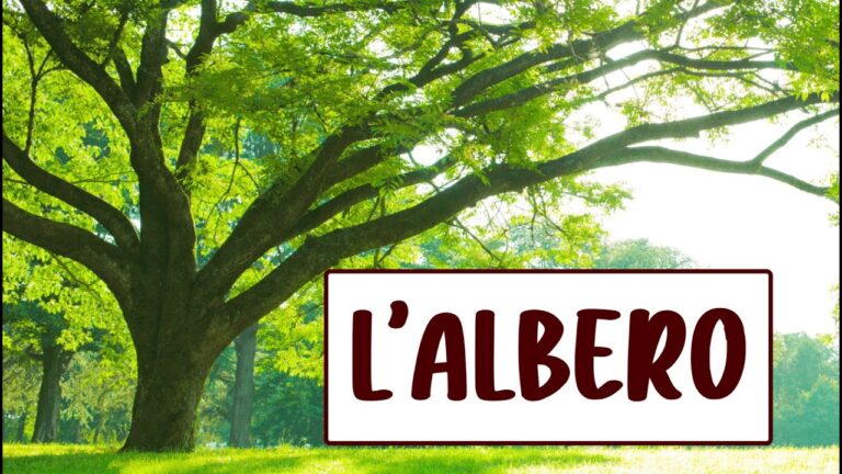 Alberi con la V: Scopri le Variet&agrave; Uniche