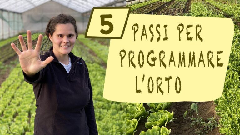 Schema dell’Orto Familiare: Guida Pratica alla Coltivazione Sostenibile