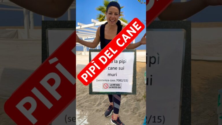 Gestire il problema dei pipi dei cani in condominio