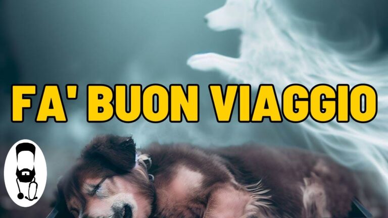 Eutanasia Gratuita per Cani: Cosa Sapere