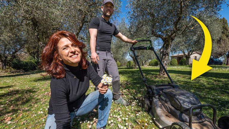 34 Persone nel Giardino: Una Scoperta Inaspettata