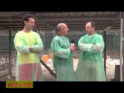 Eccellenza Agricola: La Storia di Santina Francesco