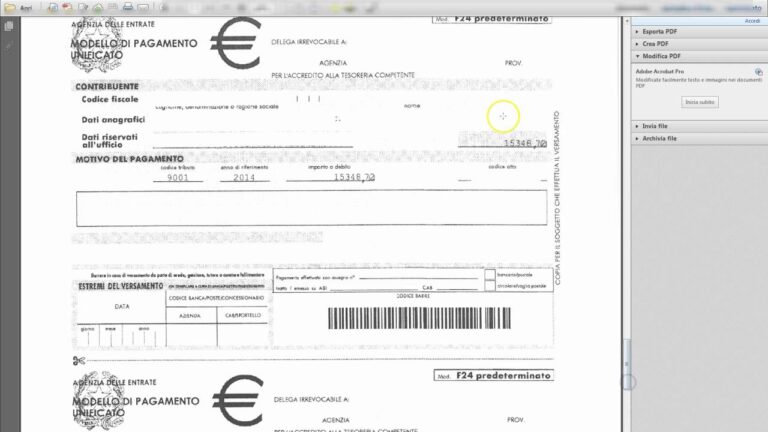 Rateizzazione Multa Online: Guida Pratica e Vantaggi