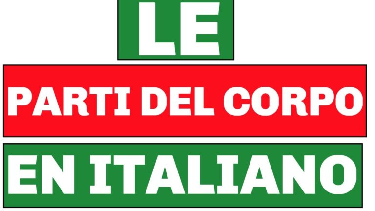 Parti del Corpo che Iniziano con la R