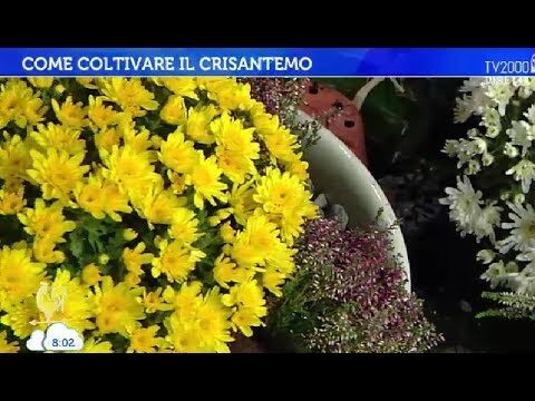 Vasi per tomba con ornamenti per tombe a picco, placche commemorative/vasi neri con citazioni personalizzate; decorazioni per tombe in metallo a memoria amorevole dei tuoi cari (figlio
